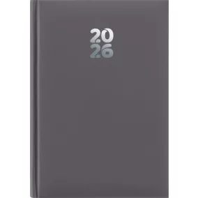  Naptár, tervező, A5, napi, DAYLINER, "Pannon", szürke