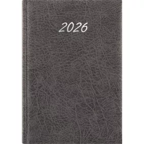   Naptár, tervező, A5, napi, DAYLINER, "Rebel", szürke