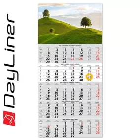 Naptár, speditőr, öt hónapos, egy tömbös, DAYLINER