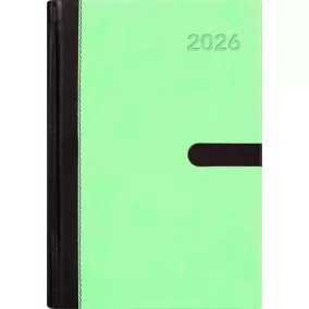   Naptár, tervező, A5, napi, DAYLINER "Winner", menta