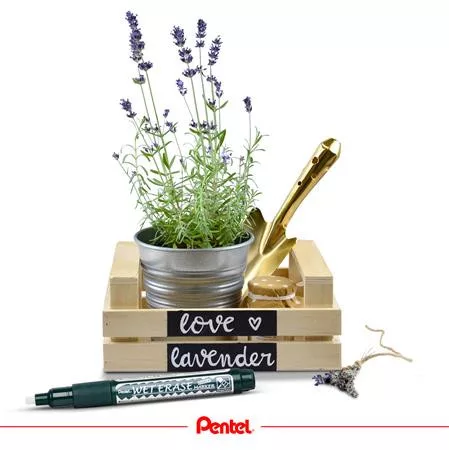 Krétamarker, 2-4 mm, megfordítható hegy, PENTEL "SMW26", fehér