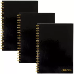   Spirálfüzet, B5, vonalas, 80 lap, FSC, PUKKA PAD "Carpe Diem", fekete