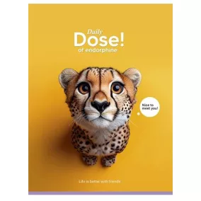   Füzet, tűzött, A5, vonalas, 48 lap, SHKOLYARYK "Nice to meet you", vegyes