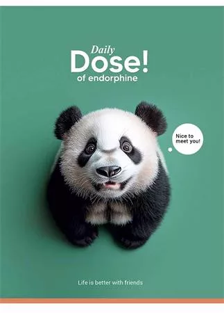 Füzet, tűzött, A5, vonalas, 48 lap, SHKOLYARYK "Nice to meet you", vegyes