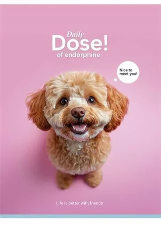 Füzet, tűzött, A5, vonalas, 48 lap, SHKOLYARYK "Nice to meet you", vegyes