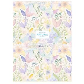   Füzet, tűzött, A4, vonalas, 80 lap, SHKOLYARYK "Natural", vegyes