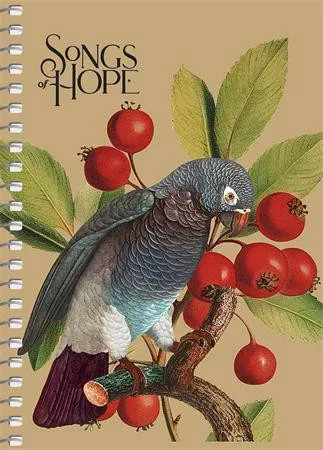 Spirálfüzet, A6, kockás, 80 lap, SHKOLYARYK "Spring Hope", vegyes