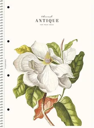 Spirálfüzet, A4, vonalas, 80 lap, SHOLYARYK "College Block Wonders", vegyes