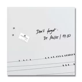   Mágneses üvegtábla, 48x48x1,5 cm, SIGEL "Artverum® ", Little birds mintázat, matt