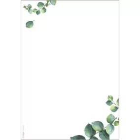   Előnyomott papír, kétoldalas, A5, 90 g. SIGEL "Eucalyptus"