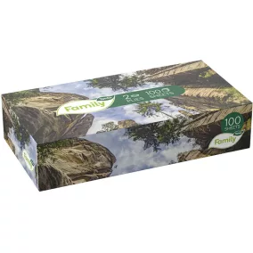   Tento Family Flat 100 papírzsebkendő/kozmetikai kendő, 2 rétegű, 100 kendő/doboz