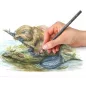  Színezett akvarell ceruza készlet, hatszögletű, STAEDTLER® "tinted 146 10T", 12 különböző szín