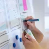 Tábla- és flipchart marker, 2-3 mm, kúpos, SCHNEIDER "Maxx 290", zöld
