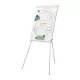 Flipchart tábla, mágneses felület, 70x100 cm, NOBO "Premium Plus", fehér
